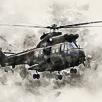 Buy canvas prints of Puma 2 - Painted  by J Biggadike