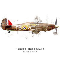 Buy canvas prints of Hurricane Sketch - LF363_YBW by J Biggadike