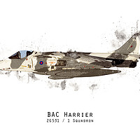 Buy canvas prints of Harrier Sketch - ZG531 by J Biggadike