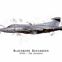 Buy canvas prints of Buccaneer Sketch - XV352 by J Biggadike