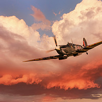 Buy canvas prints of Spitfire Beautiful Warrior by J Biggadike