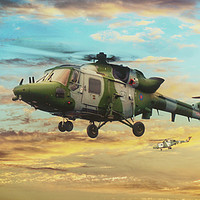 Buy canvas prints of Farewell To The Lynx by J Biggadike