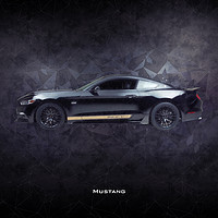 Buy canvas prints of Mustang GT-H by J Biggadike