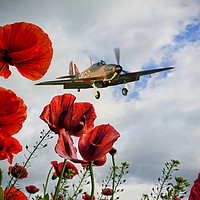 Buy canvas prints of Hurricane Poppy Fly Past by J Biggadike