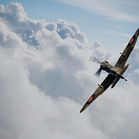 Buy canvas prints of Spitfire Aerial Ace by J Biggadike