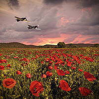 Buy canvas prints of BBMF Fighters Poppies by J Biggadike