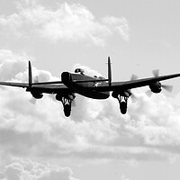 Buy canvas prints of Lancaster Bomber Landing by J Biggadike