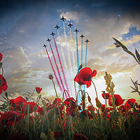 Buy canvas prints of Red Arrows Poppy Fly Over by J Biggadike