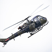 Buy canvas prints of Westland Scout Helicopter by J Biggadike