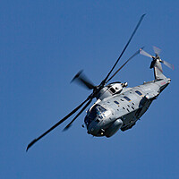 Buy canvas prints of Merlin Helicopter by J Biggadike