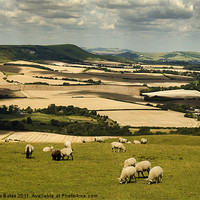 Buy canvas prints of Sussex Countryside by Matthew Bates