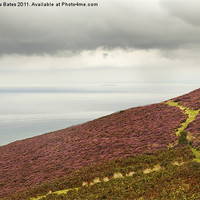 Buy canvas prints of Exmoor Path by Matthew Bates