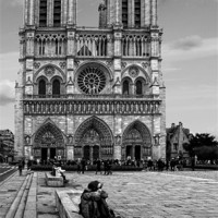 Buy canvas prints of Notre Dame by Matthew Bates