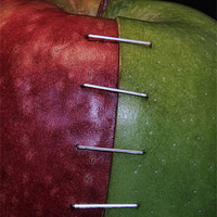 Buy canvas prints of Red and Green Apple by Matthew Bates