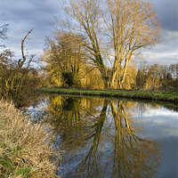 Buy canvas prints of Canal Reflections by Matthew Bates