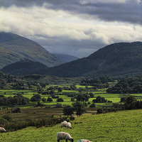Buy canvas prints of Cumbria Valley by Matthew Bates
