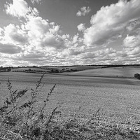 Buy canvas prints of Farmland near Farnborough by Matthew Bates