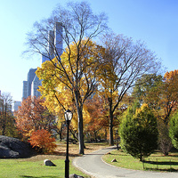 Buy canvas prints of Autumn in Central Park by Matthew Bates
