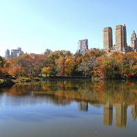 Buy canvas prints of Central Park by Matthew Bates