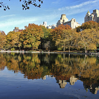 Buy canvas prints of Central Park lake by Matthew Bates
