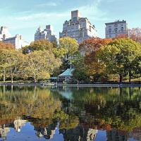 Buy canvas prints of Central Park reflections by Matthew Bates