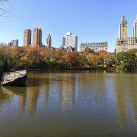 Buy canvas prints of Central park reflections by Matthew Bates