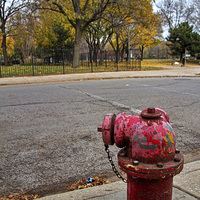 Buy canvas prints of  Chicago Hydrant by Matthew Bates