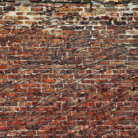 Buy canvas prints of Old wall by Matthew Bates