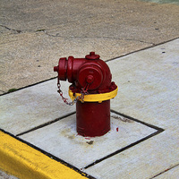 Buy canvas prints of Fire Hydrant by Matthew Bates