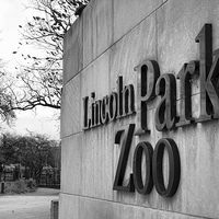 Buy canvas prints of Lincoln Park Zoo Entrance by Matthew Bates