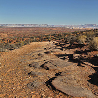 Buy canvas prints of Arizona Desert by Matthew Bates
