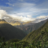 Buy canvas prints of Andean mountain forest by Matthew Bates