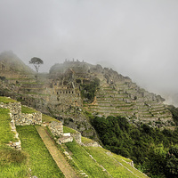 Buy canvas prints of Dawn at Machu Picchu by Matthew Bates