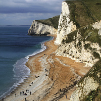 Buy canvas prints of Dorset Beach by Matthew Bates