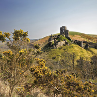 Buy canvas prints of Corfe Castle view by Matthew Bates