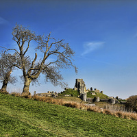 Buy canvas prints of  Corfe Castle through the trees by Matthew Bates