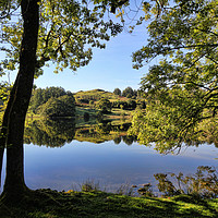 Buy canvas prints of Loughrigg Tarn under the trees by Matthew Bates