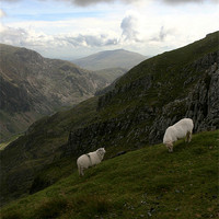 Buy canvas prints of View from Snowdon. by Matthew Bates