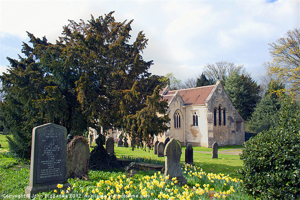 Churchyard in Spring Picture Board by John Biggadike