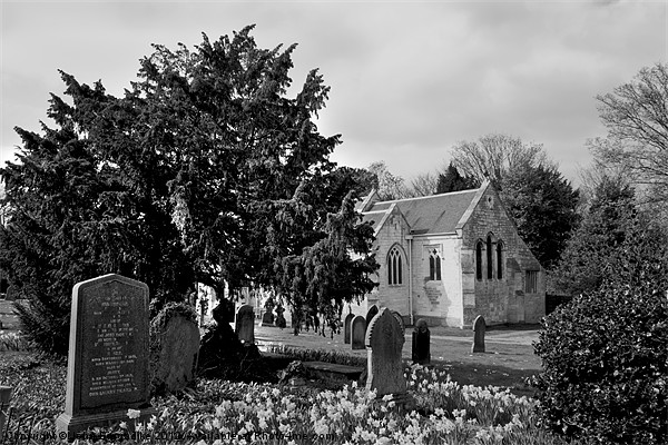 Churchyard in Spring b/w Picture Board by John Biggadike