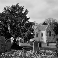 Buy canvas prints of Churchyard in Spring b/w by John Biggadike