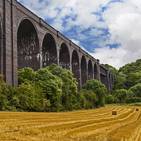 Buy canvas prints of Conisbrough Viaduct by John Biggadike