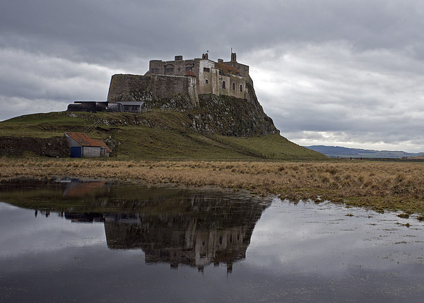 Lindisfarne Castle reflection Picture Board by John Biggadike