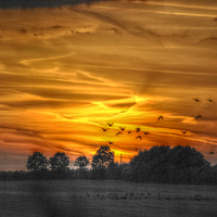 Buy canvas prints of  HDR Sunset by Daniel Gray