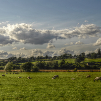 Buy canvas prints of  HDR View of Seaton, Rutland by Daniel Gray