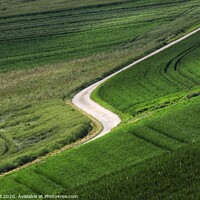 Buy canvas prints of The Winding Road by Tom Hall