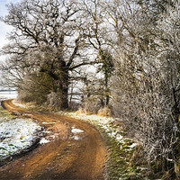 Buy canvas prints of Country Road, Take Me Home by Lee Morley