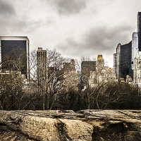 Buy canvas prints of  New York Skyline from Central Park by Lee Morley