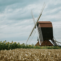 Buy canvas prints of Stevington Windmill by Dan Davidson