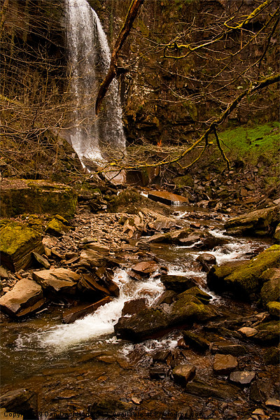 Melincourt Waterfall Wales Picture Board by Dan Davidson